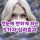 첫눈에반하게 이미지