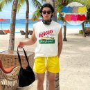 팜 비치 이미지