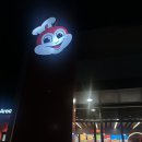 세부 오슬롭 고래상어 투어, 패스트트랙 프라이빗 투어 모알보알 거북이투어 후기 (ft. 로컬페이지)