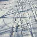 (주)디자인바이플랜 | 2026 2월 첫째 주 :: 그러니까 3월에 올리는...