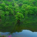 한무도장 이미지