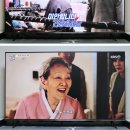 리얼닷