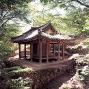 사이박천 | 우리나라사적33호 부터 55호까지 입니다