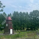 돼지네 울타리 | [경기도 안성 촌캉스 숙소] 솔향기 흙내음 에서 친구들이랑 1박 2일 촌캉스 여행