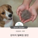 청학동물병원 이미지