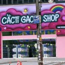 뽑기플렉스 이미지