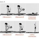 강가요가 이미지