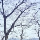 푸른쉼터 표지석 이미지