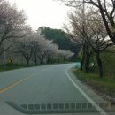 달천교 옆 이미지