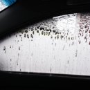 탑동셀프세차장 이미지