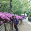 휘경1동 주민센터 이미지