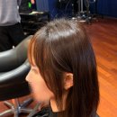 씨티헤어샵 | 창원 시티세븐 미용실 헤어샵 보그헤어 뿌리펌 후기