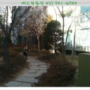 예스현대공인중개사사무소 이미지