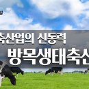 [YTN사이언스] 다큐S프라임 한국 축산업의 신동력 산지생태축산농장 이미지