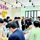 투아이시스 이미지