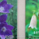 단양팔경휴게소