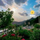 밀양루(RO) 이미지