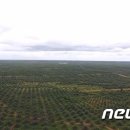 이철 농장 이미지