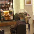 브라운버즈 이미지