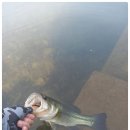 능애 낚시터 이미지