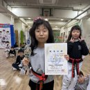 연세파워태권도 이미지