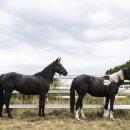 국립축산과학원 난지축산연구소 이미지