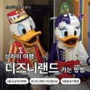 Avenue 41th(애비뉴41) | [중국_상하이]상하이 자유여행 필수 코스 디즈니랜드 가는 방법 총정리｜지하철 vs 택시(더이튼호텔에서...