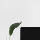 장수양꼬치 이미지