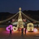 [울산광역매일]울산시, 태화강 국가 정원에 야간 조명 운영 이미지