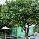 양가고기마을 이미지