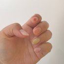 네일 일루아(nail illua)