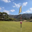 필로스골프연습장 이미지