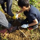 태우농장 이미지