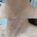 일산실면도