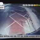 고잔자동차정비 이미지