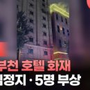 모텔코보스 이미지