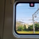 소문난손맛 | 강릉여행 중앙시장 맛집 원조 소문난 무침회 웨이팅 포장 후기