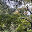 솔향기하우스 | 🌌 양평 바오하우스 풀빌라 후기｜별 보기 좋은 감성 숙소에서의 하룻밤