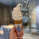 진한소프트 | 히로시마역 인생 디저트맛집 BAKE 소프트크림 후기