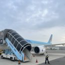 밀양동물약국 | 부싼으로 가요!!