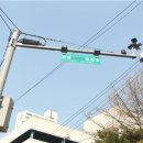 구로-구로-구로-146 이미지