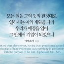 오늘의 &#39;영어성경 사진&#39;(668강) “그리스도안에서 우리는 또한 선택받았다”(에베소서 1장 11절) 이미지