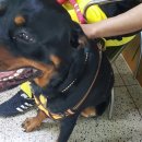 한수풀동물병원 이미지