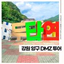 산양(산양보호구역) | DMZ 평화의 길 따라 양구여행 – 두타연 예약부터 백자박물관까지!