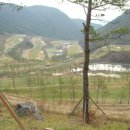 일성자원 이미지