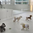 멈무는하루 이미지