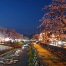 (유)문경시중앙시장 이미지