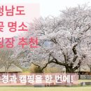 행목리 | 충남 벚꽃 명소 캠핑장 추천 🌸 꽃구경과 캠핑을 한 번에!
