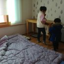 태림펜션민박 이미지