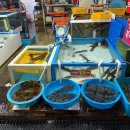 씨유 주문진어민시장점 | 주문진어민수산시장 재방문 이유 홍게 시세 비교&amp;구매 꿀팁(+오징어회)